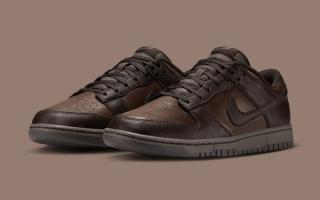 Nike Dunk Low Surfaces in Fall-Ready “Ironstone/Velvet Brown” Finish