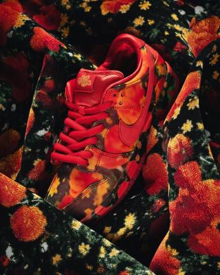 Where to Buy the Wizard Of Oz x Nike SB Dunk Low