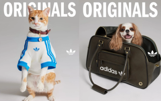 Adidas Originals to Release Pet Collection Exclusively in China 