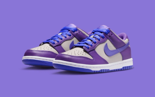 Big Kids' Nike Dunk Low "Wild Grape" Is on the Way