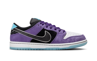 Hayley Wilson x Nike SB Dunk Low Pro